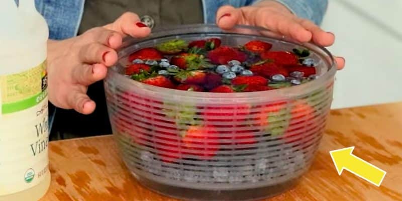 How to Keep Berries Fresh and Mold Free | DIY Joy Projects and Crafts Ideas