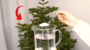 How to Stop Christmas Tree from Shedding Needles