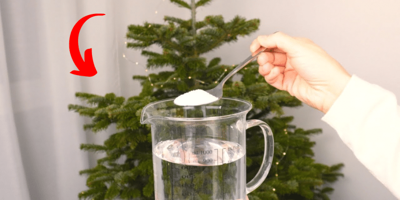 How to Stop Christmas Tree from Shedding Needles | DIY Joy Projects and Crafts Ideas