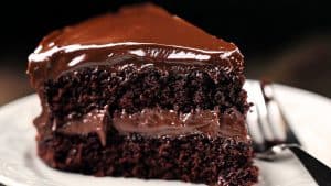 Moist and Fudgy Chocolate Cake