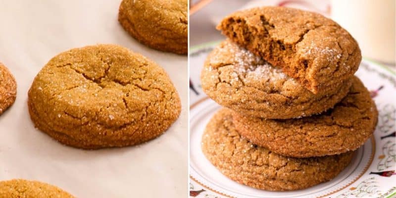 Molasses Cookies Recipe | DIY Joy Projects and Crafts Ideas