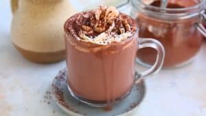 Sugar-Free Hot Chocolate Mix