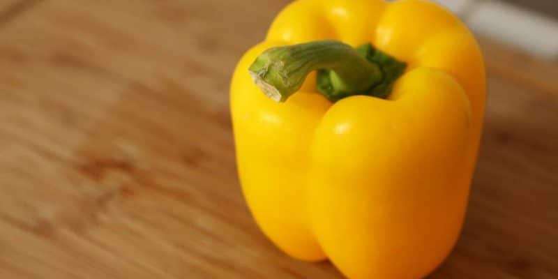 The Best Way to Cut a Bell Pepper | DIY Joy Projects and Crafts Ideas