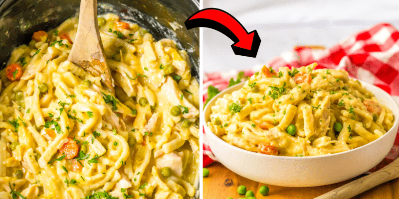 Easy Crockpot Chicken and Noodles Recipe | DIY Joy Projects and Crafts Ideas