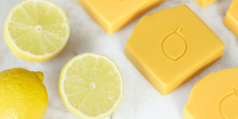 Easy Homemade Fresh Lemon Soap | DIY Joy Projects and Crafts Ideas