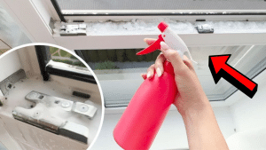 Easy No-Scrub Window Cleaning Hack!