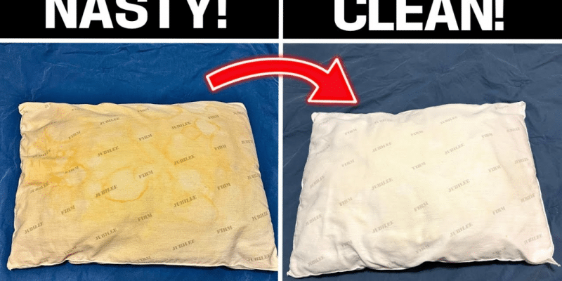 This is The Best Way to Clean & Whiten Pillows! | DIY Joy Projects and Crafts Ideas