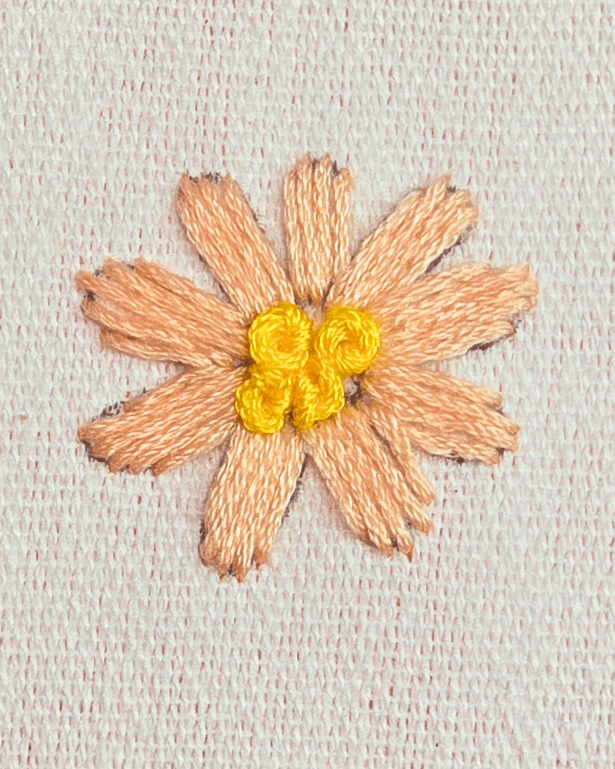 How to Embroider a Daisy