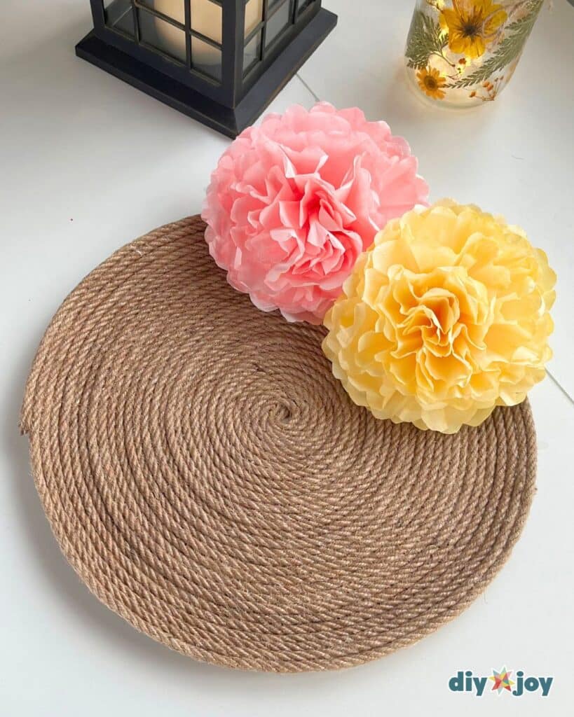 rustic rope tray DIY project
