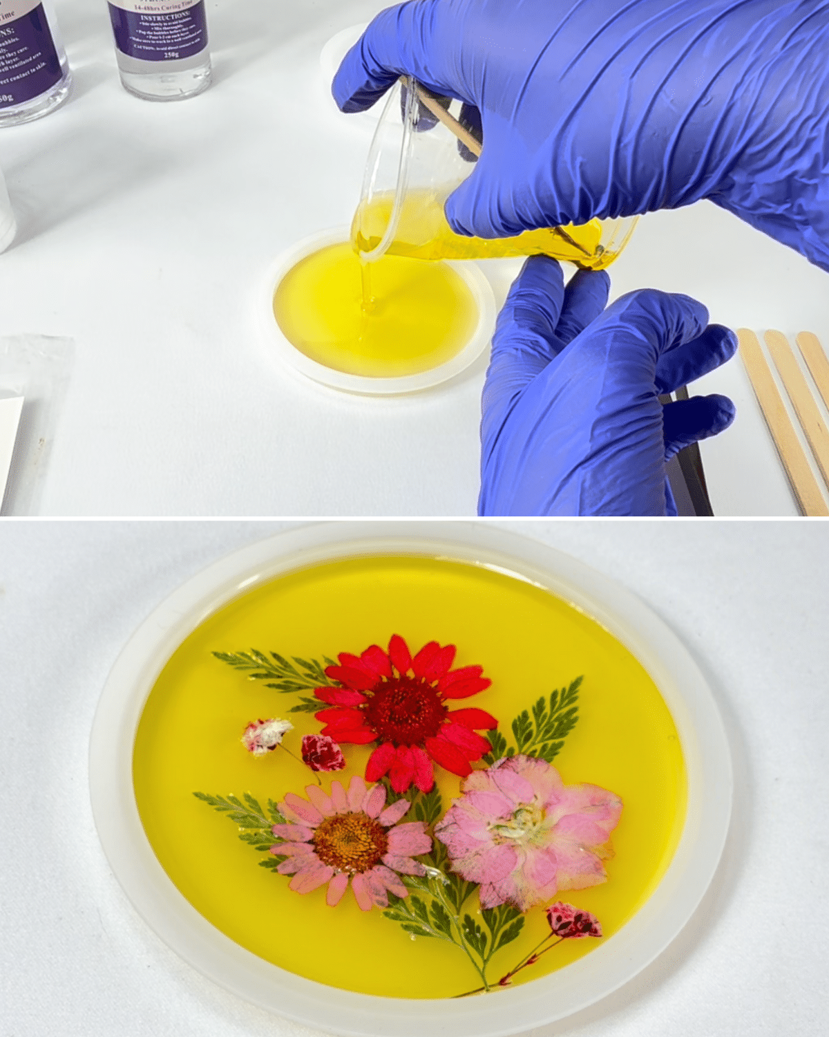 DIY Dried Flower Coaster for Beginners