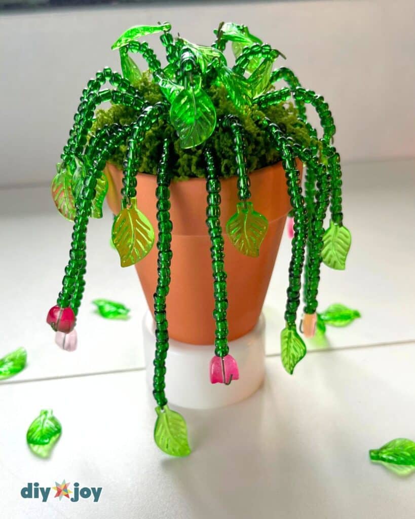 beaded plant