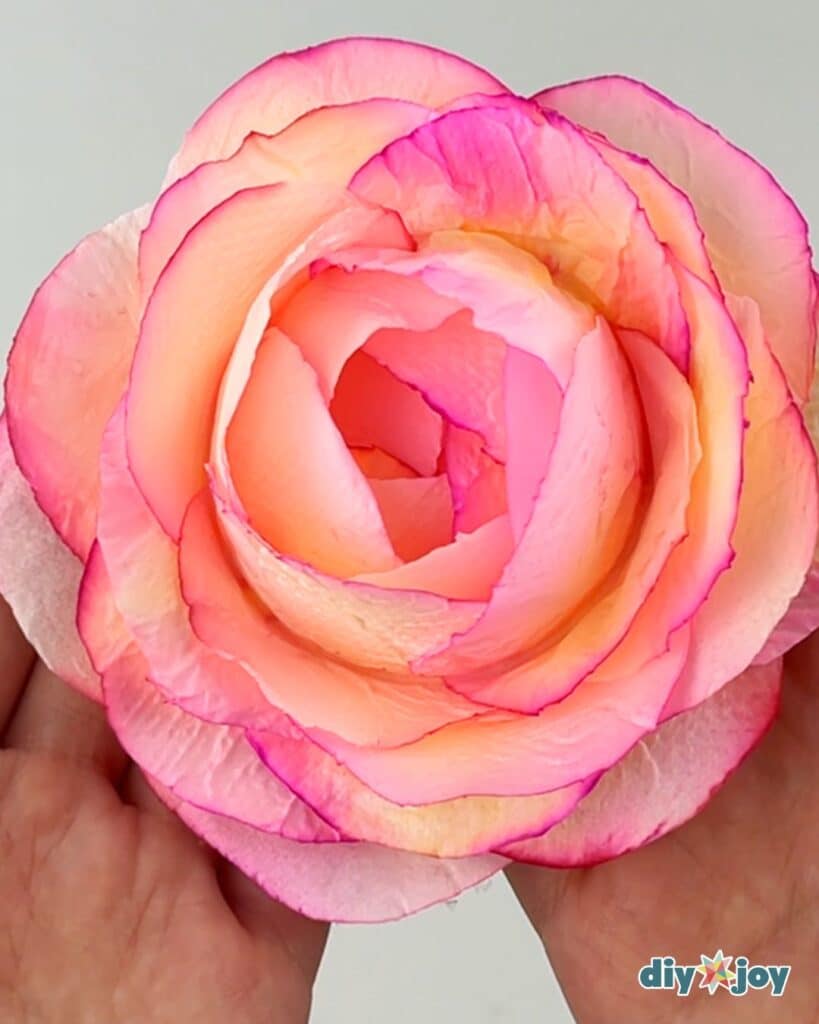 DIY roses