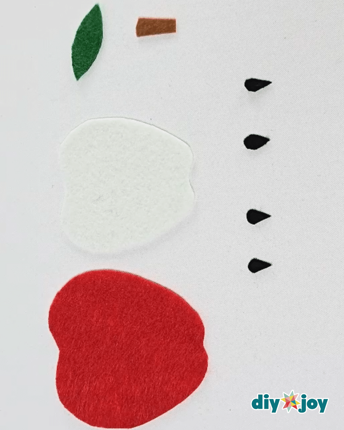 Felt Craft Project for Beginners