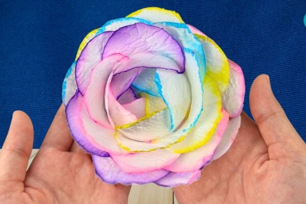 Rainbow toilet paper flower tutorial