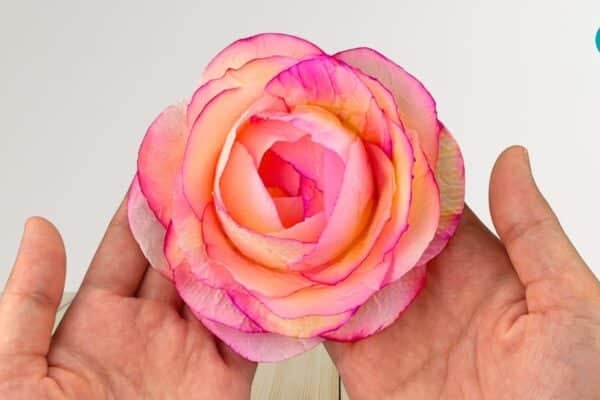 Tissue Paper Flower DIY project