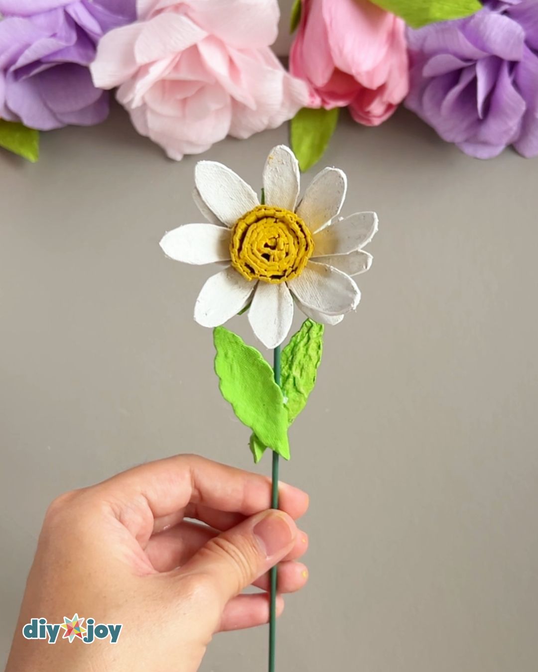 DIY daisies