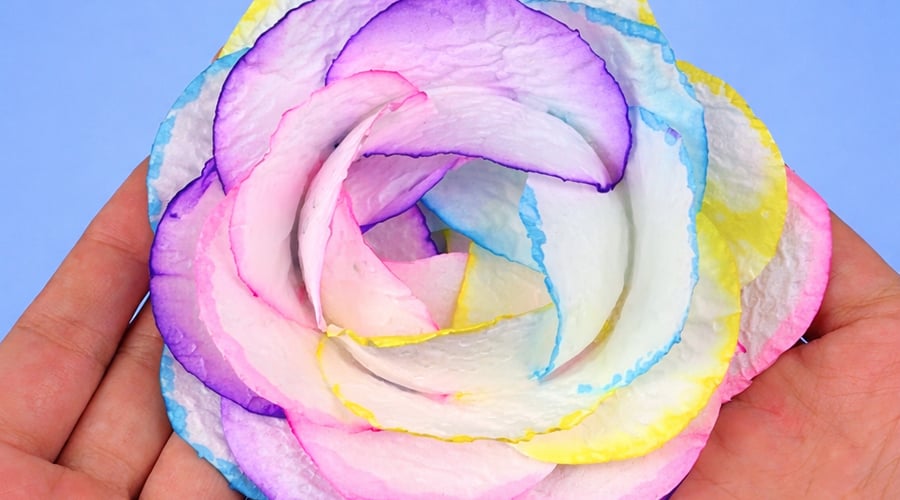 Rainbow TP flower Supplies