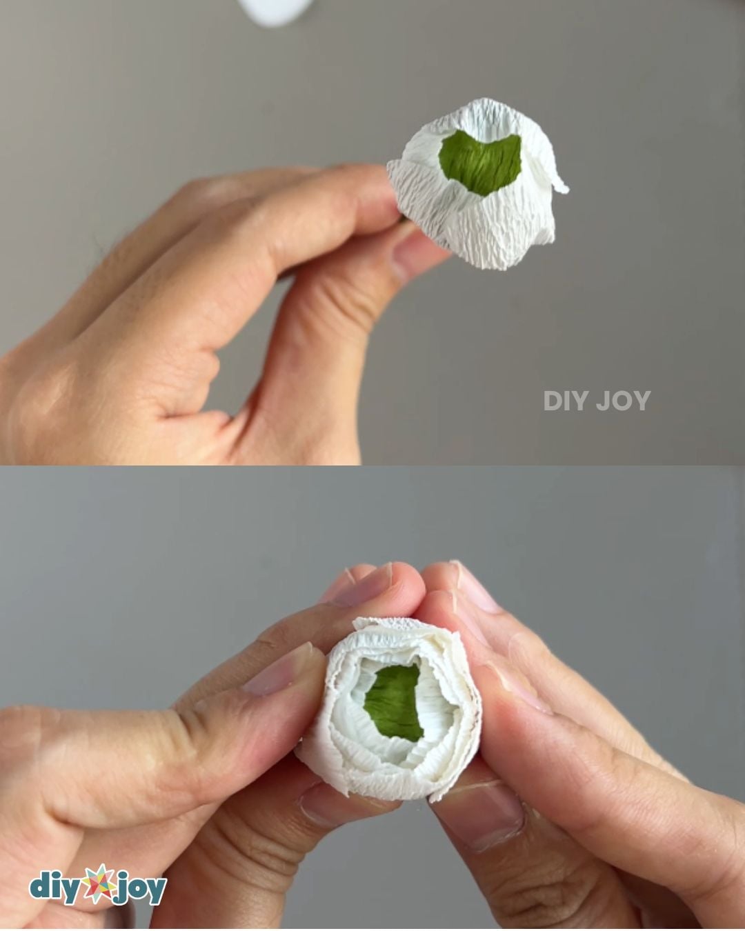paper flowers - ranunculus