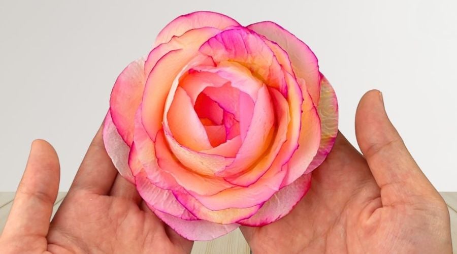 supplies for toilet paper flowers