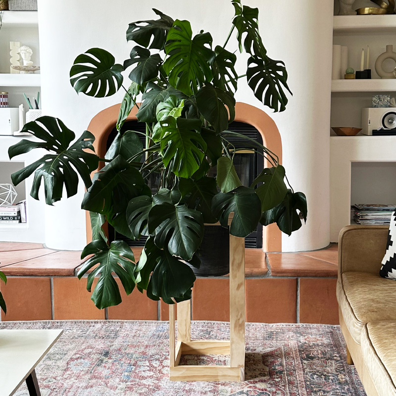 Mid-Century Modern Plant Stand - DIY Plant Hangers and Stands