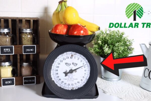 Finished 10 Dollar Tree Kitchen Organization DIYs, a completed DIY project