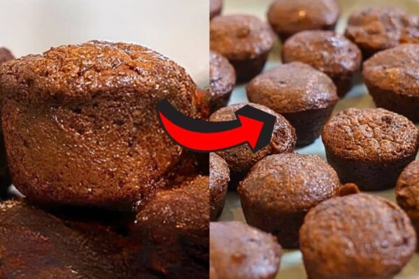 2-Ingredient Low Carb Brownie Bites, homemade and freshly served