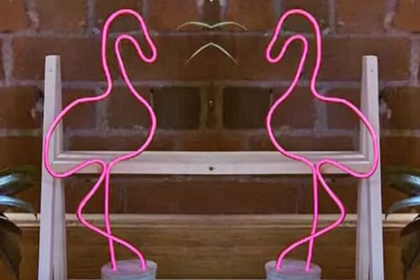 Finished 3 DIY Neon Signs That Cost $20 or Less To Make, a completed DIY project