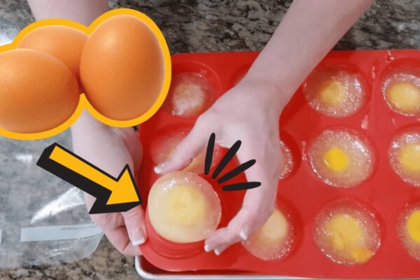Finished 40 Foods That Freeze Well, a completed DIY project