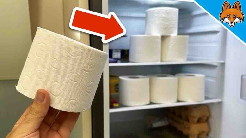 Finished 6 Clever Home Tricks with Toilet Paper, a completed DIY project