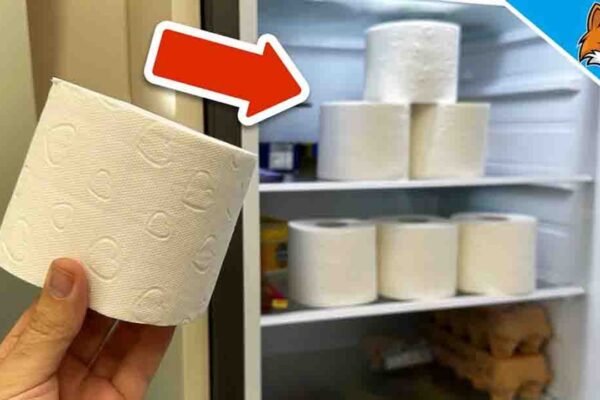 Finished 6 Clever Home Tricks with Toilet Paper, a completed DIY project