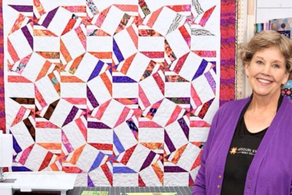 Finished 60 Degrees Stars Quilt With Jenny Doan, a completed DIY project