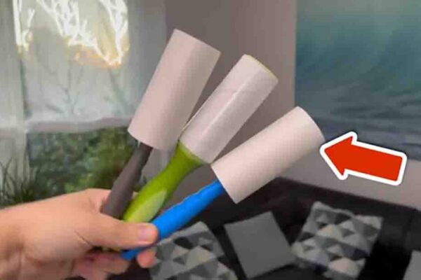 Finished 8 Lint Roller Tricks That Only A Few Know, a completed DIY project