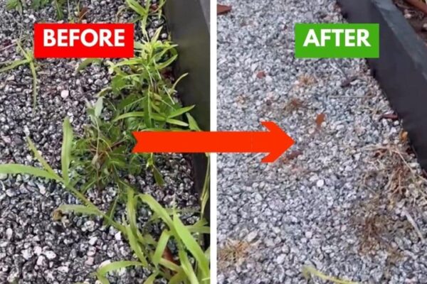 8 Ways to Kill Weeds Naturally