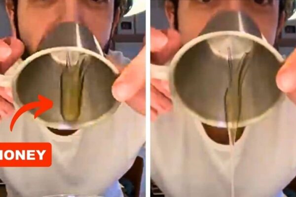 Finished 9 Kitchen Hacks If You Hate Cleaning, a completed DIY project