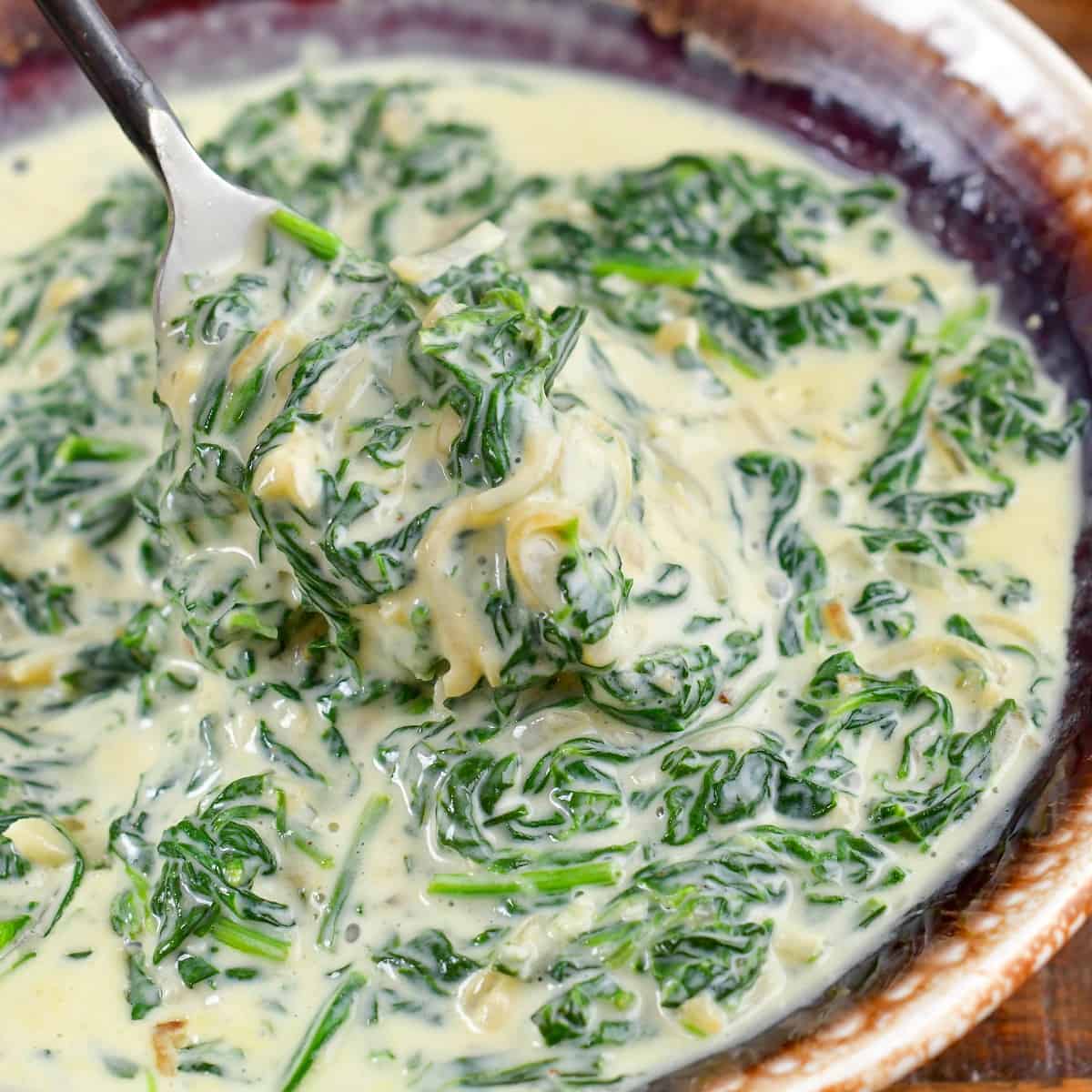 Spinach Recipes - Creamed Spinach Gratin - Rich Cheesy Side Dish Spinach Recipes - Creamed Spinach Gratin - Rich Cheesy Side Dish