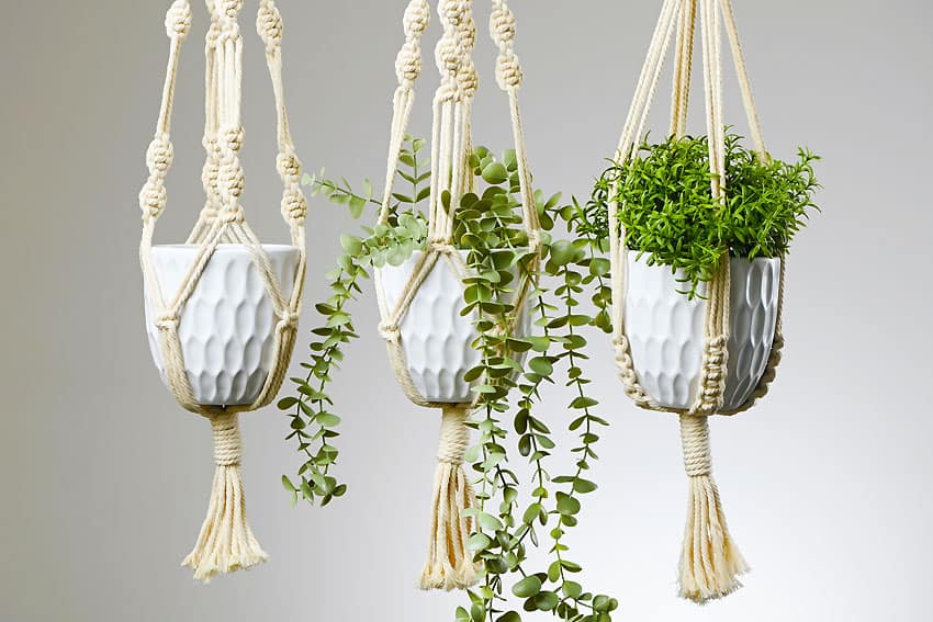 Macrame Plant Hanger - Macrame Crafts