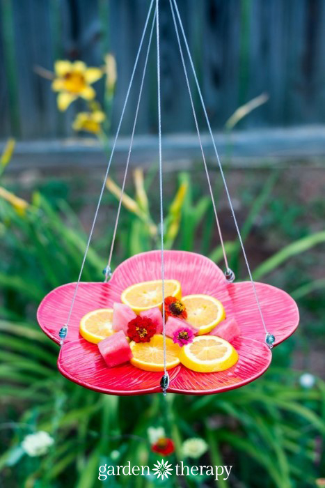 Five-Minute Butterfly Feeder - DIY Backyard Ideas for Summer