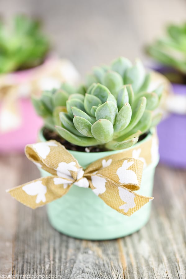 Mason Jar Succulent Planter - Fall Mason Jar Crafts