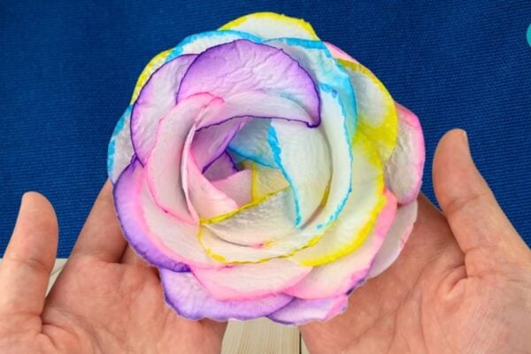 Rainbow Paper Flowers With Toilet Paper — easy step-by-step DIY tutorial.
