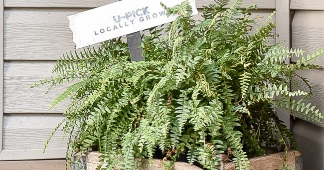 Fall Welcome Yard Sign - Best Fall Decorating Ideas