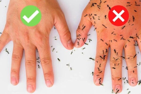 8 All-Natural Ways to Keep Mosquitoes Away