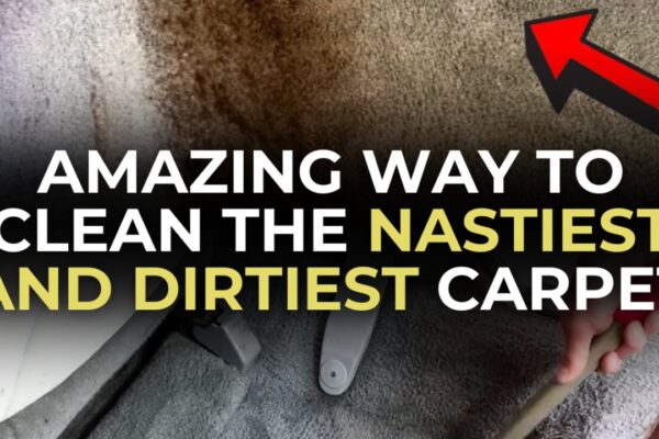 Amazing Way to Clean The Nastiest and Dirtiest Carpet