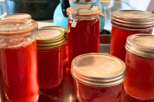 Apple Scrap Jelly Using Cores and Peels, homemade and freshly served