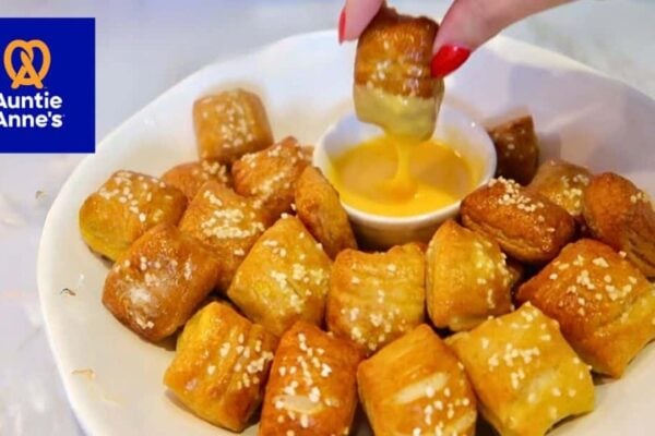 Auntie Anne's Soft Pretzel Bites Copycat, homemade and freshly served