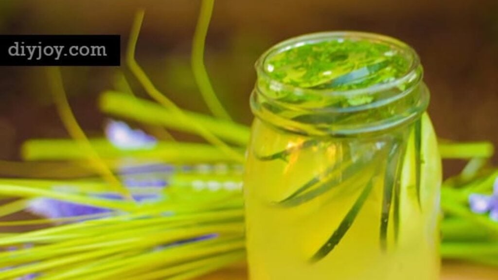 Ayurvedic Detox Water | Weight Loss, Clear Skin, Flat Belly, Anti-Aging, homemade and freshly served