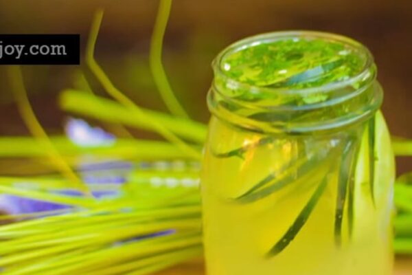 Ayurvedic Detox Water | Weight Loss, Clear Skin, Flat Belly, Anti-Aging, homemade and freshly served