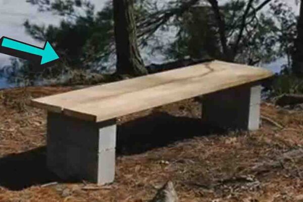 No-Cut, No-Screw Beginner Backyard Bench