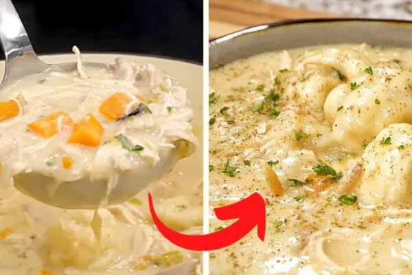 Best Chicken and Dumplings, homemade and freshly served