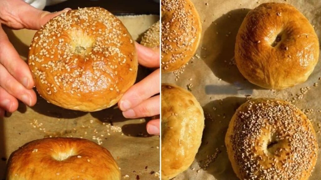 Best Homemade Bagel, homemade and freshly served