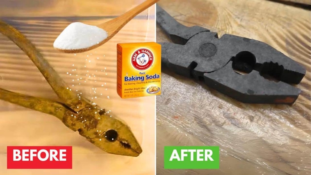Best Way to Remove Heavy Rust From Tools - DIY Joy